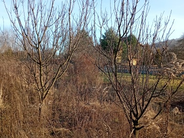 Działka budowlano-rolna Ludwinów 57