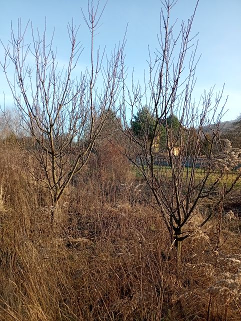 Działka budowlano-rolna Ludwinów 57