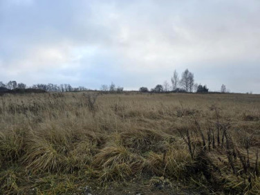 Działka budowlano-rolna Psary