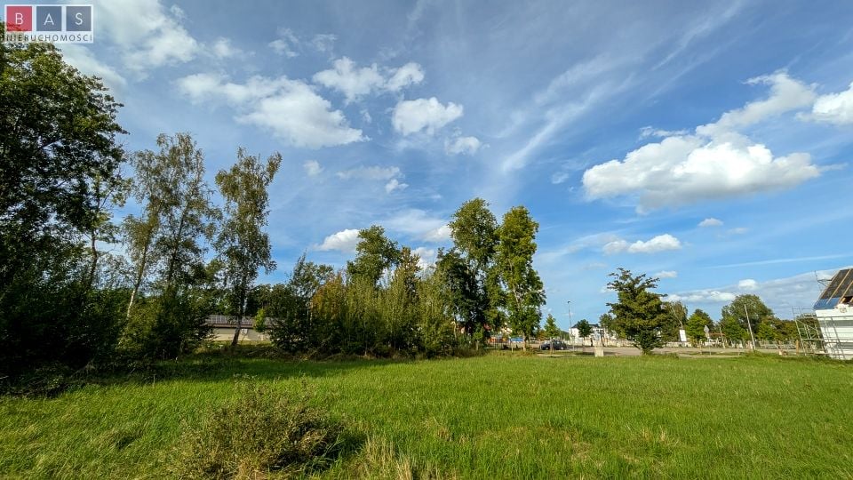 Zdjęcie 3