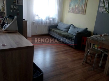 Mieszkanie Złotoryja