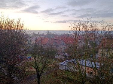 Mieszkanie Gryfów Śląski