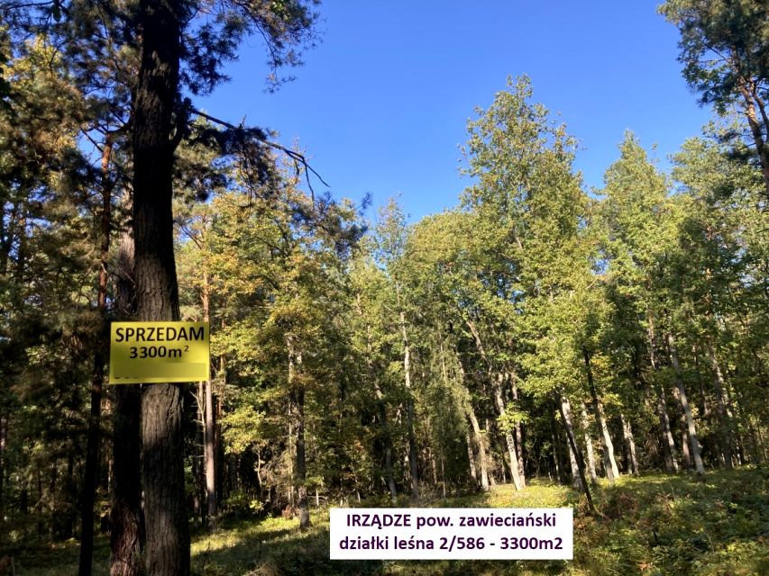 Działka leśna Irządze