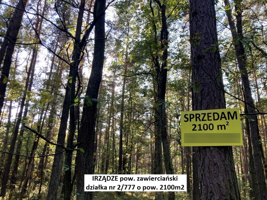 Działka leśna Irządze