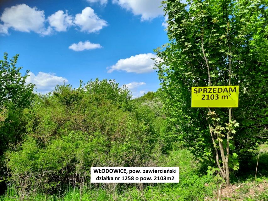 Działka nad jeziorem