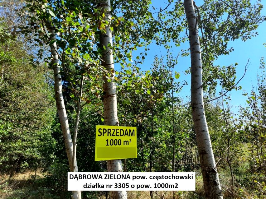 Działka rolna Dąbrowa Zielona sprzedam