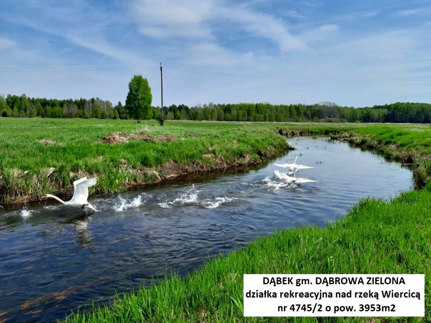 Działka rekreacyjna Dąbek