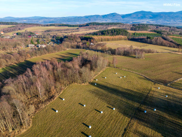 Działka budowlana Wyszki sprzedam