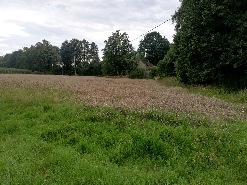 Działka budowlana Mnich