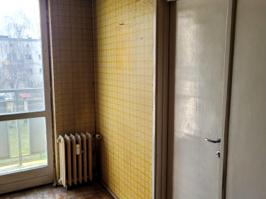 Mieszkanie przy lesie