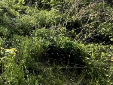 Działka budowlana Otrębusy