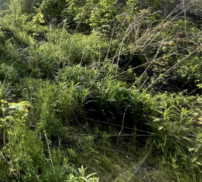 Działka budowlana Otrębusy