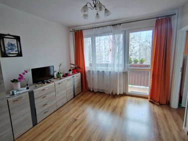 Mieszkanie blok mieszkalny Bielsko-Biała