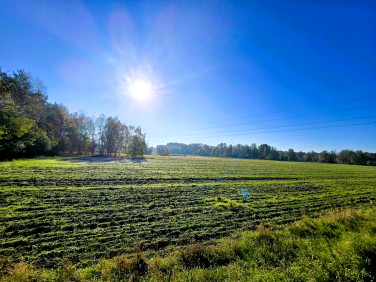 Działka budowlana Serock