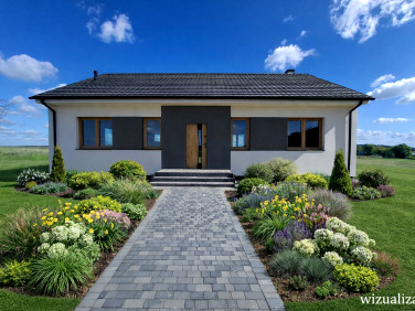 Dom Nowa Wieś Zbąska