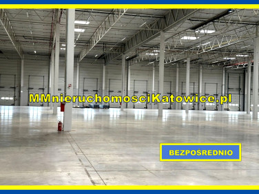 Budynek użytkowy Piotrków Trybunalski