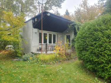 Działka budowlana Nienawiszcz