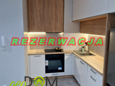 Mieszkanie Biała Podlaska wynajem