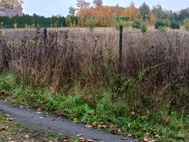 Działka budowlana Szydłowo