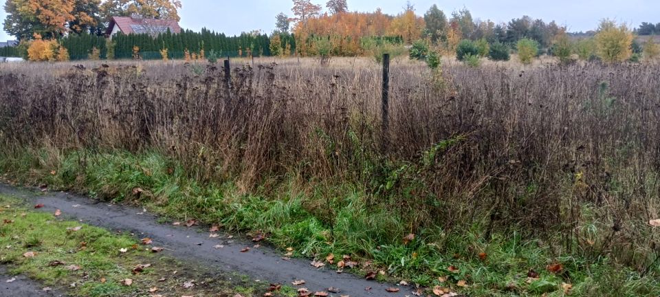 Działka budowlana Szydłowo