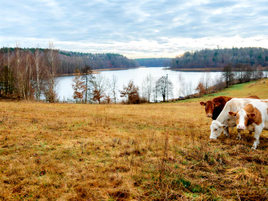 Działka inna Piaseczno