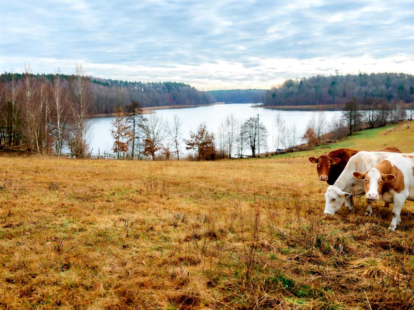 Działka inna Piaseczno