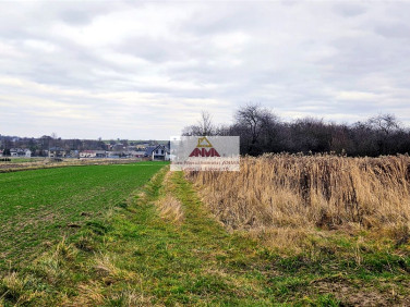 Działka Głuszczyzna