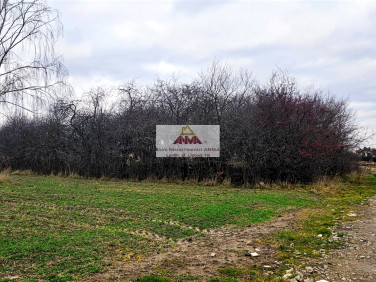 Działka siedliskowa Głuszczyzna