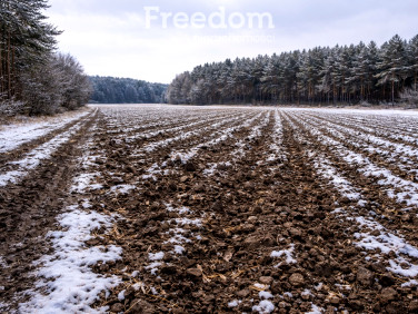 Działka rolna Mienia