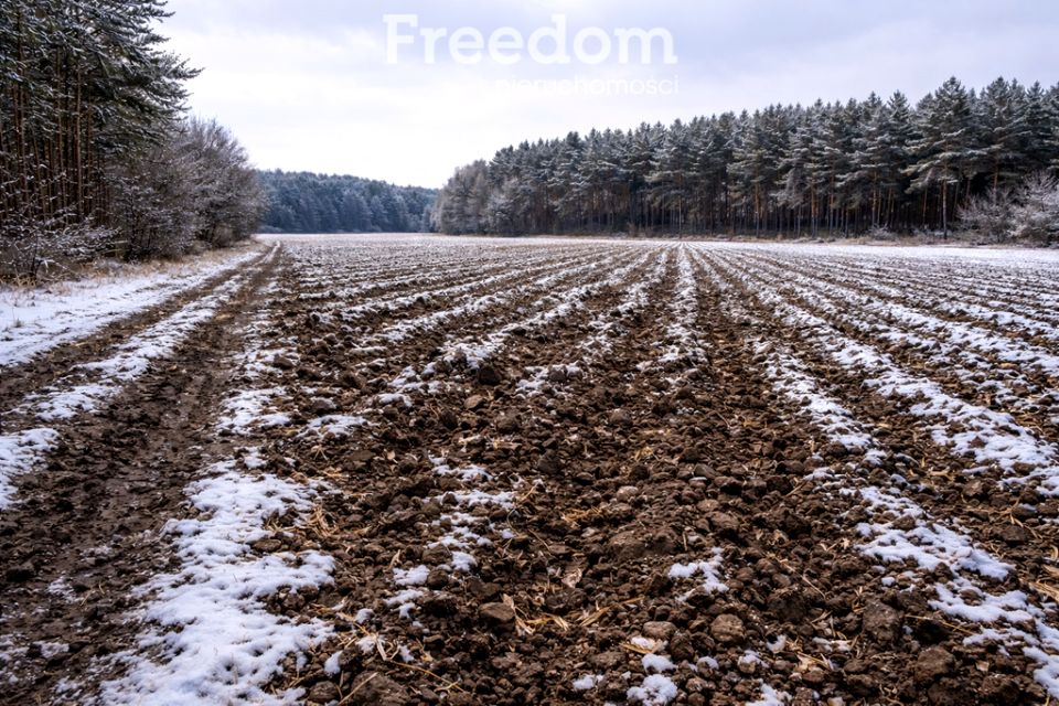 Działka rolna Mienia