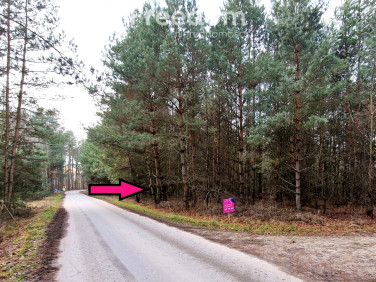 Działka leśna Mejznerzyn