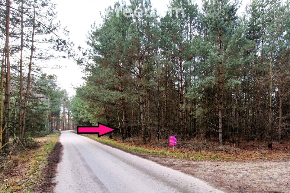 Działka leśna Mejznerzyn