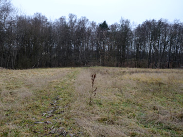 Działka budowlana Czechowice-Dziedzice