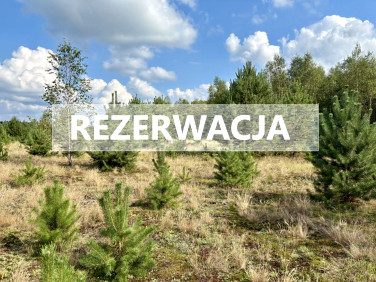 Działka inna sprzedam