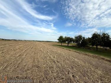 Pusta działka Cianowice