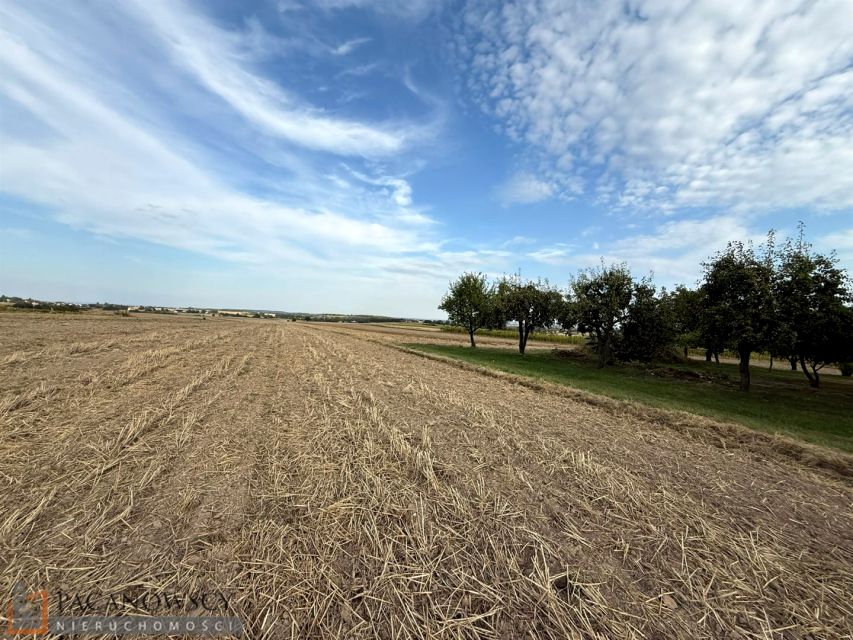 Pusta działka Cianowice