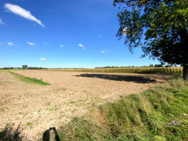 Działka budowlana Nietążkowo sprzedam