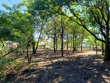 Działka budowlana Mosina