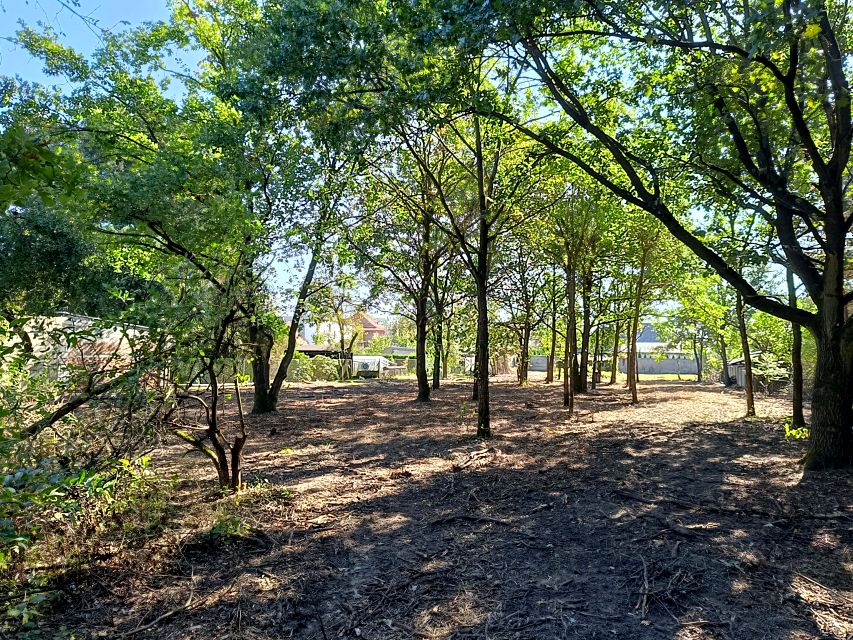 Działka budowlana Mosina