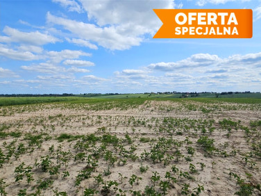 Działka budowlano-rolna Celiny