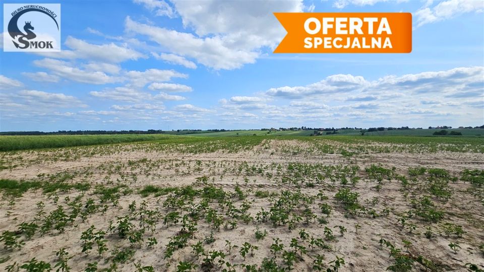 Działka budowlano-rolna Celiny