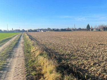 Działka rolna Duszniki