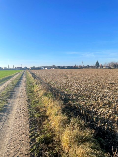 Działka rolna Duszniki