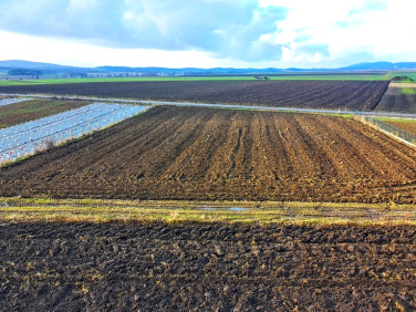 Działka budowlano-rolna Oleszna