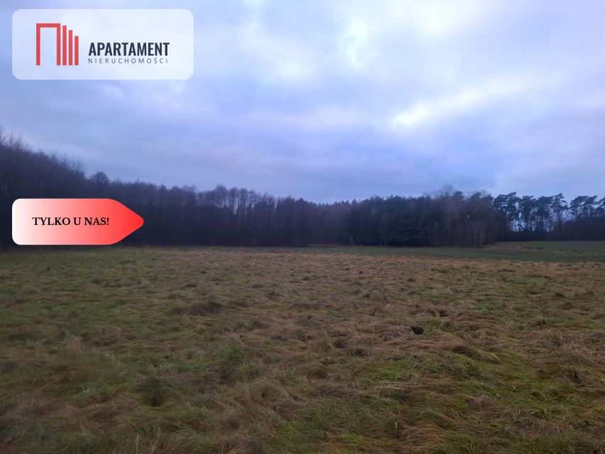 Działka rolna Bzowo