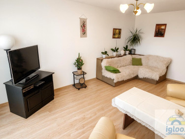 Mieszkanie Kielce sprzedaż