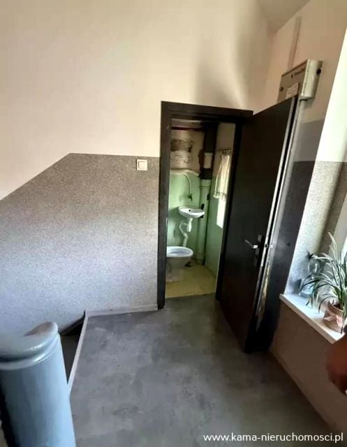 Zdjęcie 3