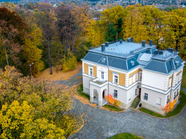 Lokal Bielsko-Biała