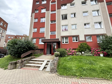 Mieszkanie przy lesie