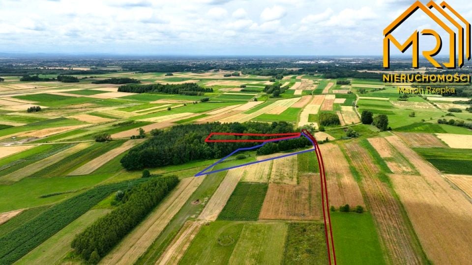 Działka leśna Łukowa